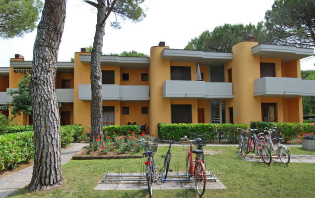 White Star - Photo 1