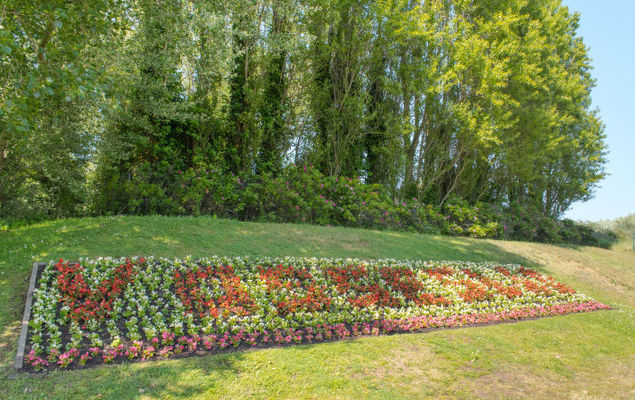 High in the sky - Photo 9