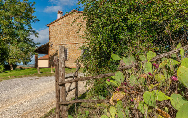 Poggio Campana - Photo 57