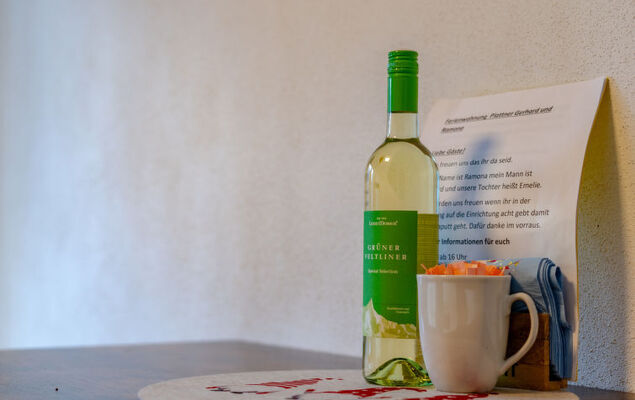 Ferienwohnung Plattner - Photo 50