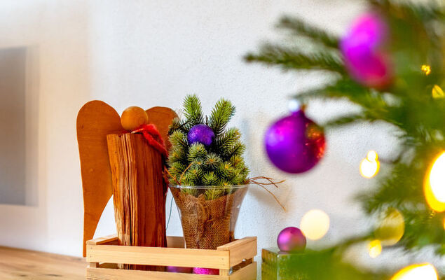 Ferienwohnung Plattner - Photo 54