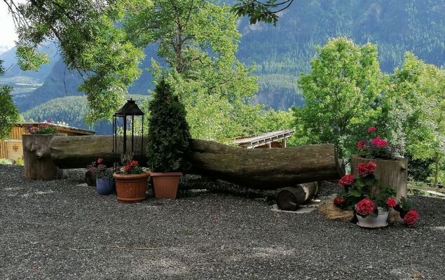 Ferienwohnung Plattner - Photo 57