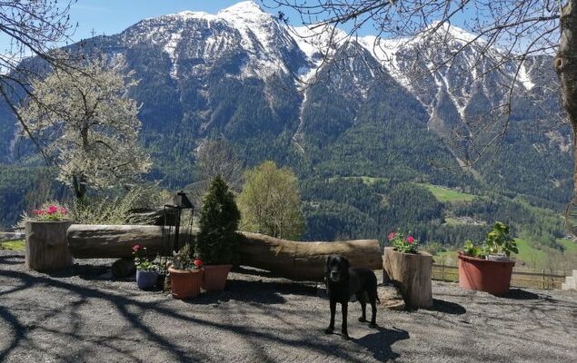 Ferienwohnung Plattner - Photo 58