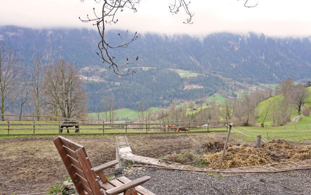 Ferienwohnung Plattner - Photo 60