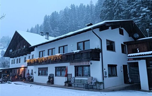 Ferienwohnung Plattner - Photo 65