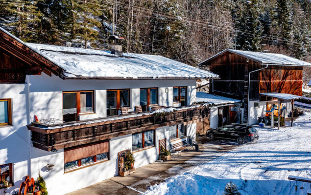 Ferienwohnung Plattner - Photo 71