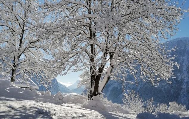 Ferienwohnung Plattner - Photo 74