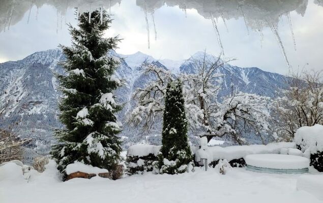 Ferienwohnung Plattner - Photo 75