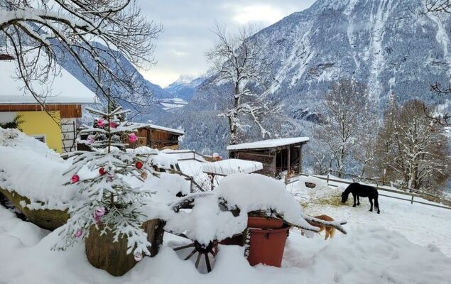 Ferienwohnung Plattner - Photo 76