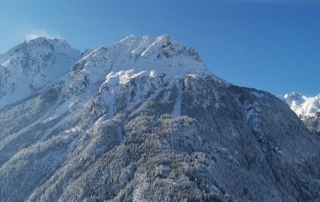Ferienwohnung Plattner - Photo 77