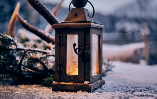 Sissis Green Chalets/Kaiser Max - Photo 26