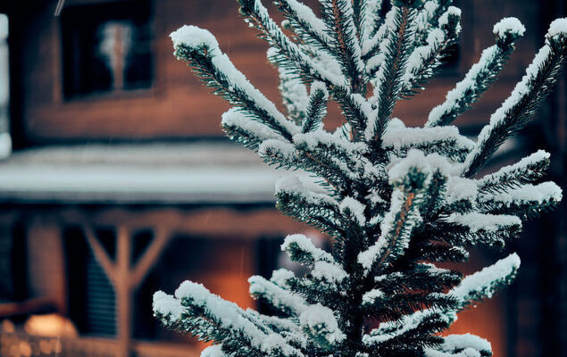 Sissis Green Chalets/Kaiser Max - Photo 27