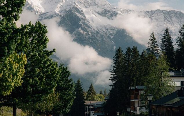 Sissis Green Chalets/Kaiser Max - Photo 43