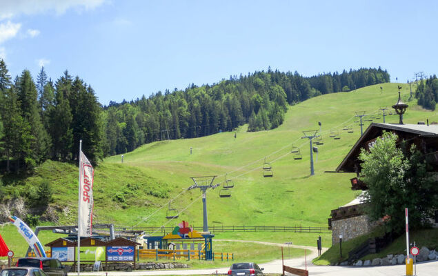 Sissis Green Chalets/Kaiser Max - Photo 45