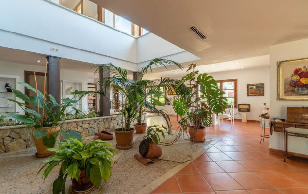 Turixant Dalt - Photo 4