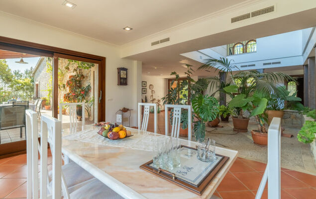 Turixant Dalt - Photo 10