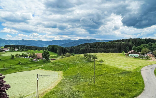 Panoramablick - Photo 20